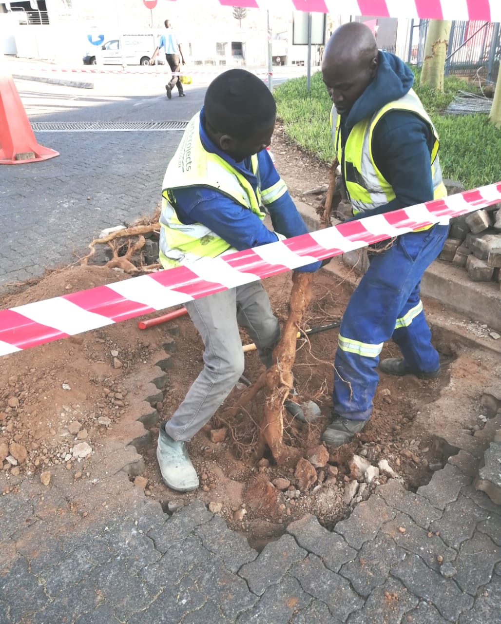 KARUSA & SOETWATER WIND (2 X 147MW)